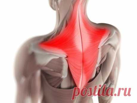 💠Мышечные зажимы шеи и спины: снятие боли изменением позы💠 Наиболее частой причиной болей в шее и спине являются хронически напряженные мышцы, причем это хроническое напряжение обычно бывает следствием смещенных позвонков, ущемляющих нервы.











Когда мышца остается напряженной, происходит несколько событий, ведущих к хронической боли. Во-первы