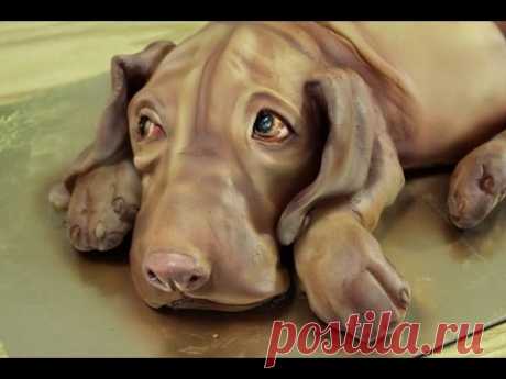 Kricky Cake Decorating: Airbrushed realistic vizsla dog cake tutorial 720p