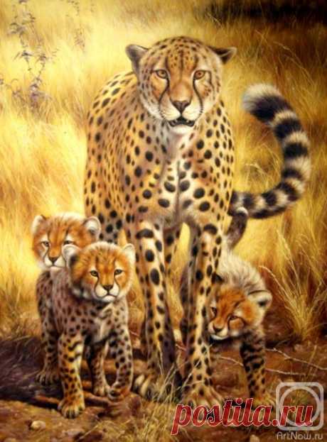 «Гепарды» картина Бруно Тины маслом на холсте — заказать на ArtNow.ru