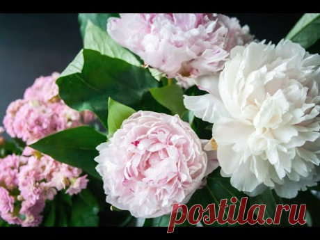 цветы из фоамирана так быстро я никогда еще не делала цветок пиона\FOAMIRAN FLOWERS EASY AND FAST