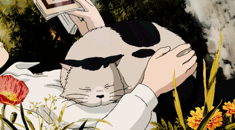 Гиф анимация Парень с книгой лежит на поляне и гладит кошку