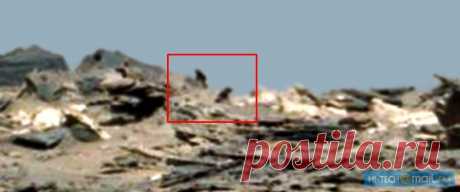 На фото с Марса обнаружили странные изображения - Hi-Tech Mail.Ru