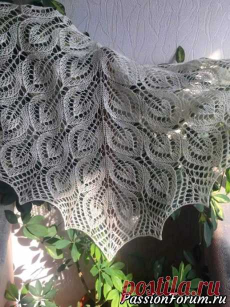 Шаль и палантин - запись пользователя Mariha (Марина) в сообществе Вязание спицами в категории Вязание шали спицами