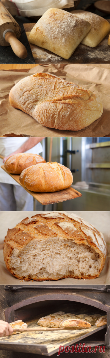 Домашний хлеб по рецепту французского пекаря | Публикации | Вокруг Света