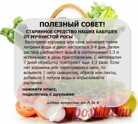 (508) Pinterest • Всемирный каталог идей