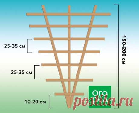 Шпалеры и опоры для клематисов своими руками – идеи и схемы | Малая архитектура (Огород.ru)