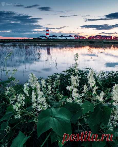 5 провинциальных городов, которые превзошли мои ожидания. | Путешествия с фотокамерой | Яндекс Дзен