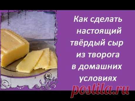 Как сделать настоящий твёрдый сыр в домашних условиях, быстрый, простой и дешёвый рецепт

вязание спицами для детей безрукавка девочки объемные манишки женщин теневые узоры со схемами мужские свитера жгуты и косы белый пуловер ирландское кружево модели и схемы япония кардиган английской резинкой бомбер с капюшоном
| вязаные носочки
новогодние открытки с музыкой 
коробки для хранения