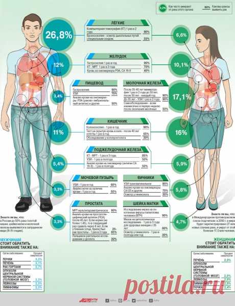 Не пропустить беду. Какие обследования нужно пройти, чтобы обнаружить рак | Инфографика | Вопрос-Ответ | Аргументы и Факты