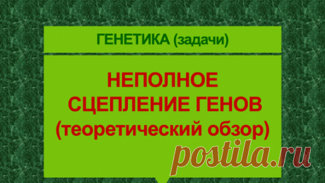 Репетитор Богунова В.Г. | Неполное сцепление генов (теоретический обзор)