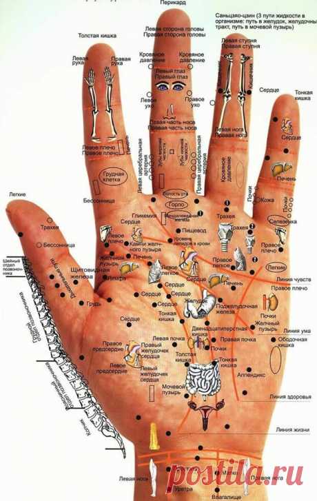 Болезни человека на его руках | Советы Народной Мудрости