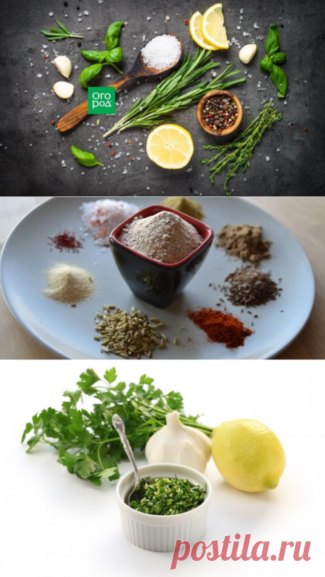 7 рецептов ароматной соли для особого вкуса домашних блюд | Статьи (Огород.ru)