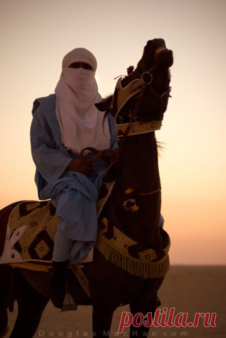 Obsession, douglas-macrae: Berber Horseman in the desert at...