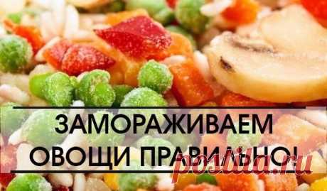 КАК ПРАВИЛЬНО ЗАМОРОЗИТЬ ОВОЩИ? - Рецепти