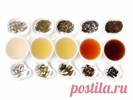 ​Полезные для здоровья чаи. А какой ваш любимый? — Полезные советы
