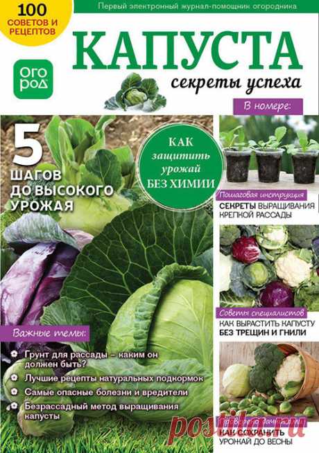 Бесплатный электронный журнал от редакции Огород.ru! Скачивайте новый выпуск о выращивании капусты.