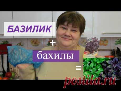 Базилик - новый эффективный способ посадки

Смотрите в этом видео о сроках посадки базилика, а также новый способ посадки рассады базилика. Этим способом также можно посеять на рассаду не только базилик, но и лук-порей, мелису, мяту и другие культуры. Способ очень эффективен, хорош особенно для тех, у кого мало земли, растения чувствуют себя хорошо и радуют Вас всходами. Крепкой Вам рассады и отличного урожая!

Хотите больше болезных советов для дачников-огородников?
ПОДПИ...