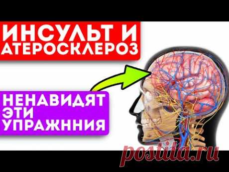 Без головных болей живу уже год! Простые упражнения для кровообращения мозга