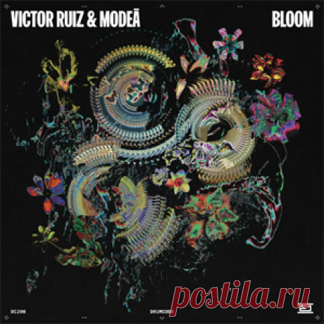 Victor Ruiz, Modeā - Bloom | download mp3