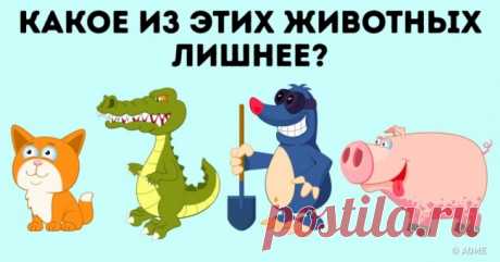 11 задач, которые не так просты, как кажется на первый взгляд . Милая Я