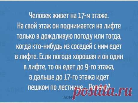 15 логических задач, которые предлагают на собеседованиях