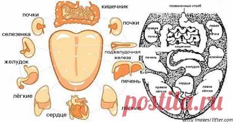 Новости - МирТесен