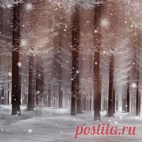 Silence mood ❄🤗
#global_creatives 🎵#serbia #zlatibor
.
.
.
.
.
#allthingsofbeauty_ #moody_nature #moody_tones #winter #snow #tree_magic #tree_briliance #tree_captures #thebestoffinland #splendid_woodlands #the_moody_way #allkindsofnature #loves_trees_rural #rsa_trees #visual_heaven #christmas #nature_perfections #versatile_photo_ #natureloving #amazingphoto #fiftyshadesofnature #fotoeimmagini