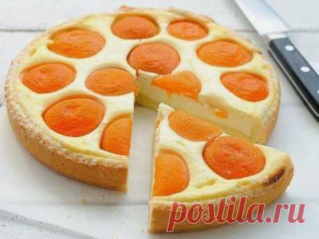 шеф-повар Одноклассники: Творожный пирог с абрикосами