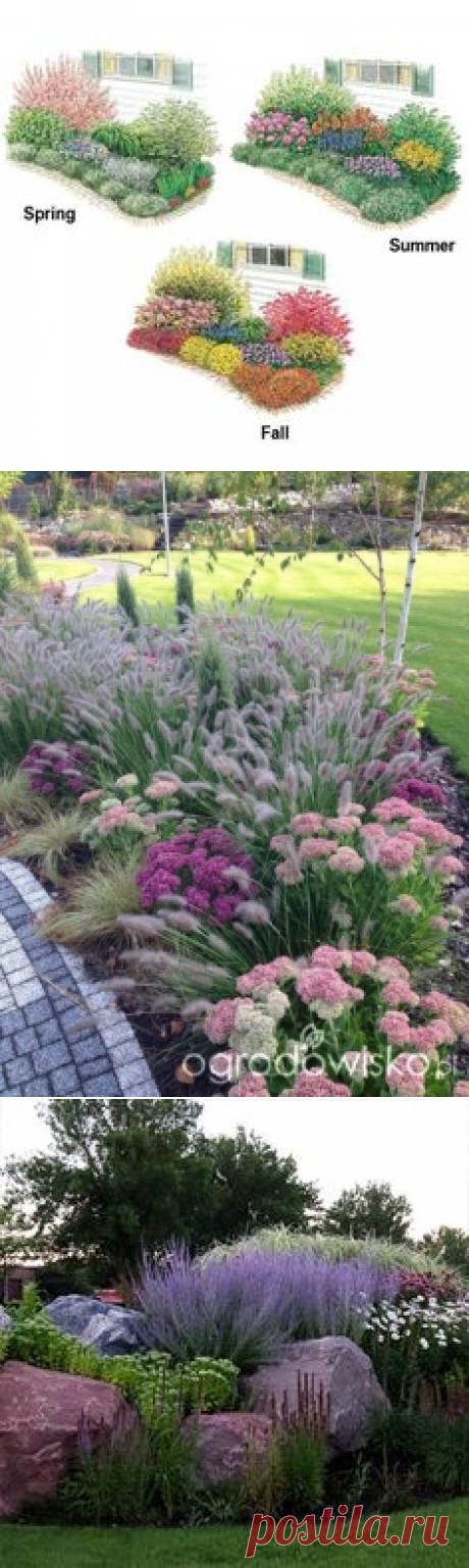 (181) Fabulous mix of ornamental grasses and other perennials. | Great Garden Ideas