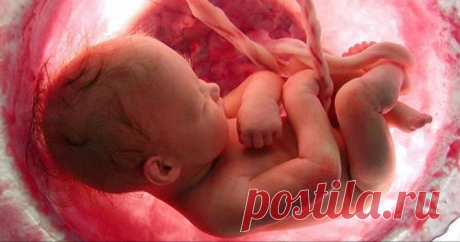 Вот как происходит рождение новой жизни. Видео, которое перевернуло весь мир науки!