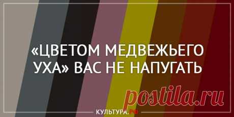 Тест: угадайте необычные названия цветов. Как выглядит оттенок «бедра испуганной нимфы», «паука, замышляющего преступление» и «наваринского пламени с дымом»/6/10