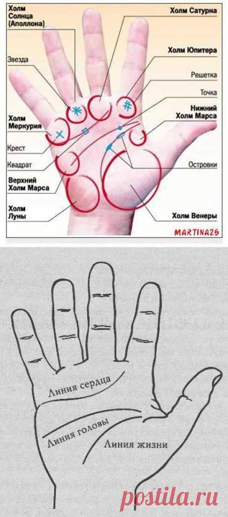 О чём может рассказать ваша ладонь | Хитрости Жизни