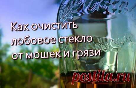 Как очистить лобовое стекло от мошек и грязи
=В этом случае на помощь придёт Кола. 
Просто смочите лобовое стекло напитком, облив его или просто протерев обильно смоченной Колой тряпкой, подождите 5-10 минут и затем просто ототрите размякшую грязь тряпкой.