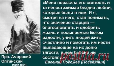 оптинские старцы: 6  изображений найдено в Яндекс.Картинках