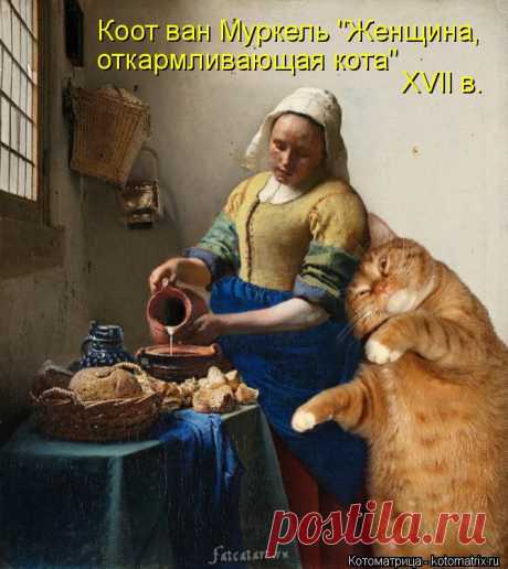 Котоматрица: Главная