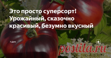 Это просто суперсорт! Урожайный, сказочно красивый, безумно вкусный | 7 дач | Дзен