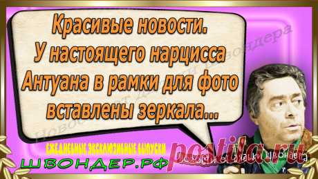 Новости от дядьки Швондера, классный анекдот, смешная фраза, веселая фенечка, смешной каламбур, известные афоризмы, смех да и только, забавные картинки, сложный юмор, непонятные анекдоты, цитаты из интернета, необычное развлечение, Швондер говорит, Шариков, Собачье сердце, улыбка до ушей, эксклюзивный выпуск новостей, ржака, потеха, фарс, наколка, проделка, шутка, юмор, анекдоты в картинках, юмор в картинках, свежие приколы, водевиль, смешная фишка, улыбка, ржачка, интересное сети, смешок, смех