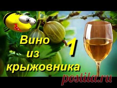 Вино из крыжовника ( домашний рецепт)