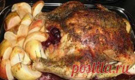 РЕЦЕПТЫ | Курица запеченная с яблоками, вишней (кизилом)