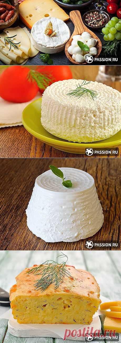 Как сделать домашний сыр | passion.ru