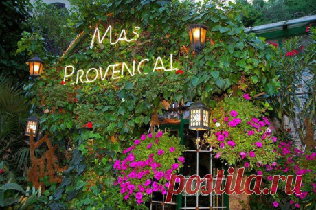 Сказочный ресторан во Франции 
Уютный ресторан Mas Provencal находится на окраине поселка Eze недалеко от Ниццы (Франция). Заведение нетрудно перепутать с зимним садом, поскольку клумб здесь больше, чем столов.

Многочисленные розы и орхидеи, увитые плющом, создают поистине специфическую атмосферу.
