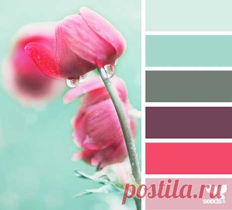 Design Seeds® | find your palette