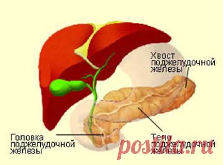 Простые способы очистки поджелудочной железы