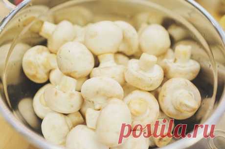 Запеченные грибы, фаршированные сулугуни - Вкусные рецепты