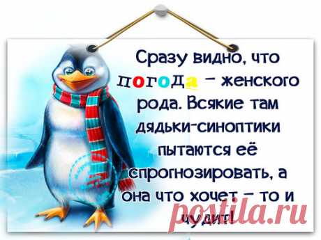 Погода – капризная женщина.
Вниманьем к себе избалована.
Не в браке, свободна, не венчана,
Живёт, и диктует условия.

Угадать почти невозможно,
Как она себя поведёт:
То ли будет осенний дождик,
То ли снег поутру пойдёт?..