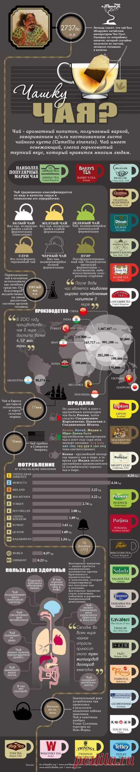 ИНФОГРАФИКА: Все, что вам нужно знать о чае - Лайфхакер