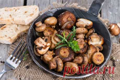 Главные правила приготовления грибов, которые нужно знать 



Грибы занимают важное место в кулинарии. Их запекают, варят, жарят и тушат. Способ обработки во многом зависит от разновидности грибов и того, в каком виде их будут подавать к столу. Блюда из гриб…