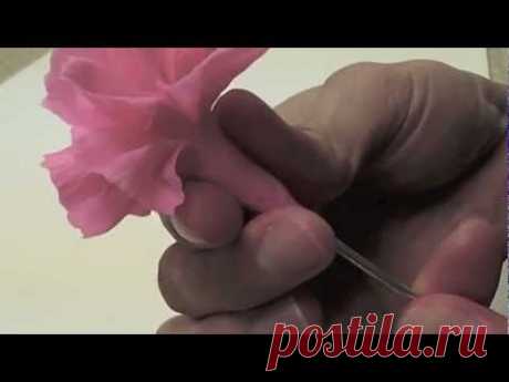 Tutorial Crafting Carnation with YuYi clay - YouTube