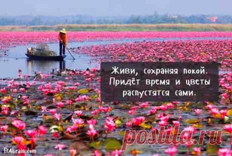 «Искушение сдаться будет особенно сильным незадолго до победы».