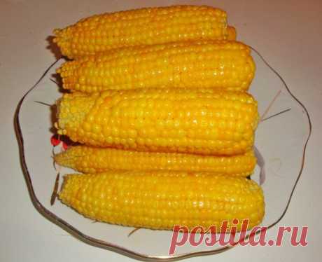 Кукуруза в мультиварке |  рецепты для мультиварки